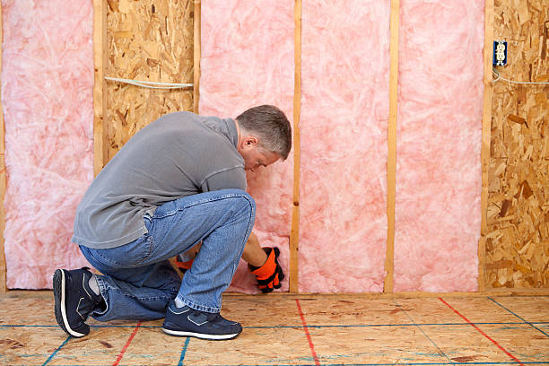 Best Geographic-Specific Insulation Services in Watertown, NY